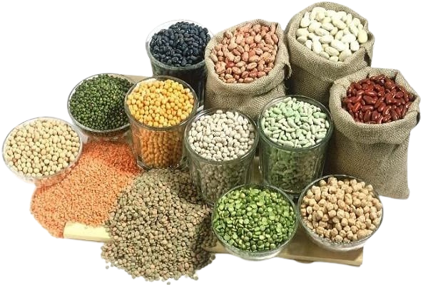 Indian Food Grain All Type of Indian Food Grains